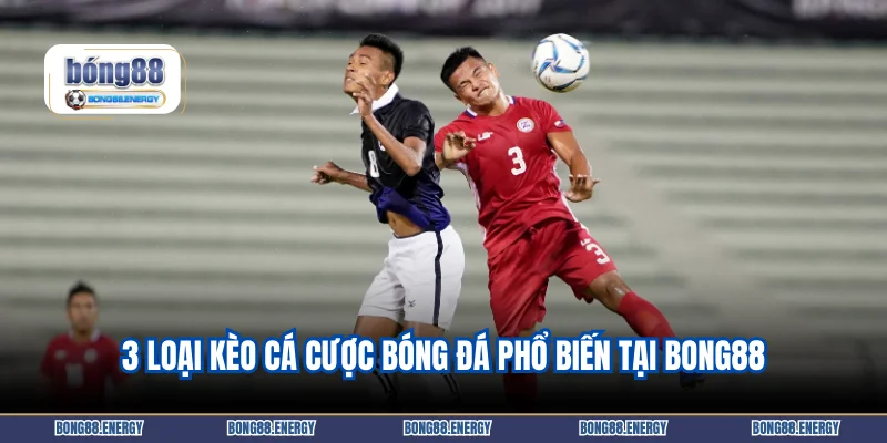 3 loại kèo cá cược bóng đá phổ biến tại BONG88