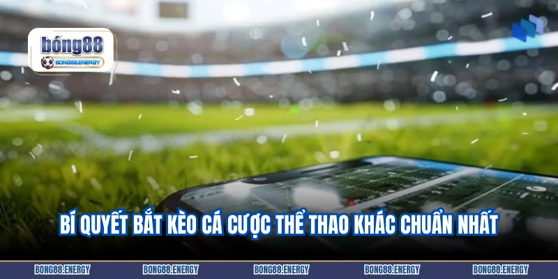 Bí quyết bắt kèo cá cược thể thao khác chuẩn nhất