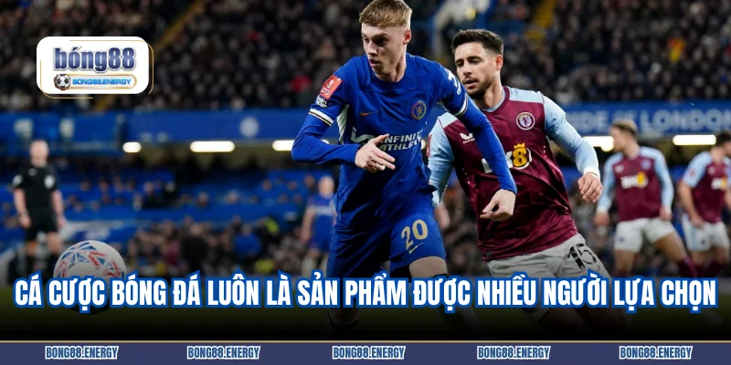 Cá cược bóng đá luôn là sản phẩm được nhiều người lựa chọn