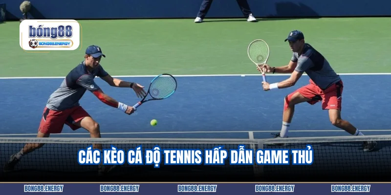 Các kèo cá độ tennis hấp dẫn game thủ