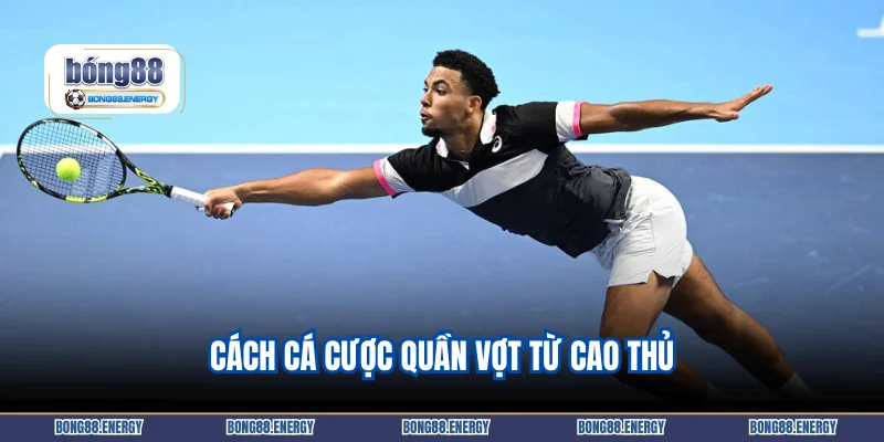 Cách cá cược quần vợt từ cao thủ
