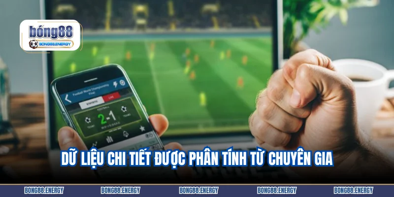 Dữ liệu chi tiết được phân tính từ chuyên gia