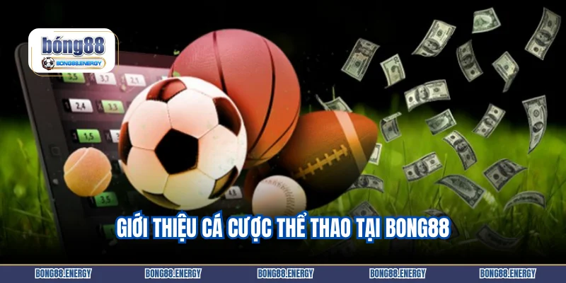 Giới thiệu cá cược thể thao tại Bong88