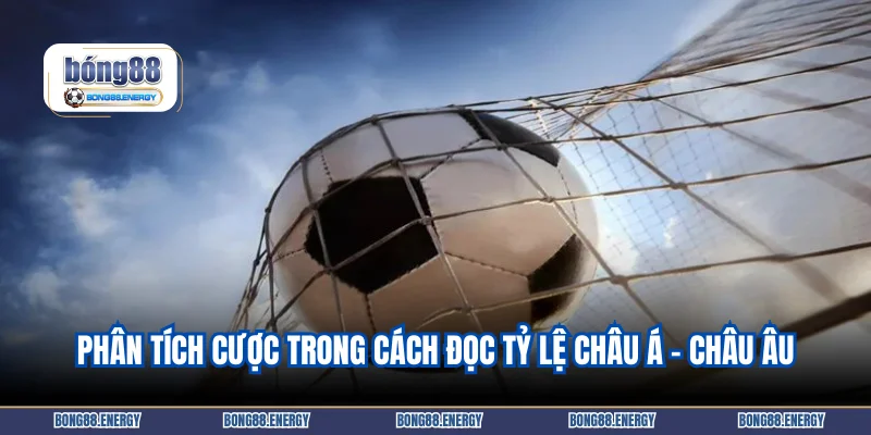 Hướng dẫn phân tích cược trong cách đọc tỷ lệ châu Á – châu Âu