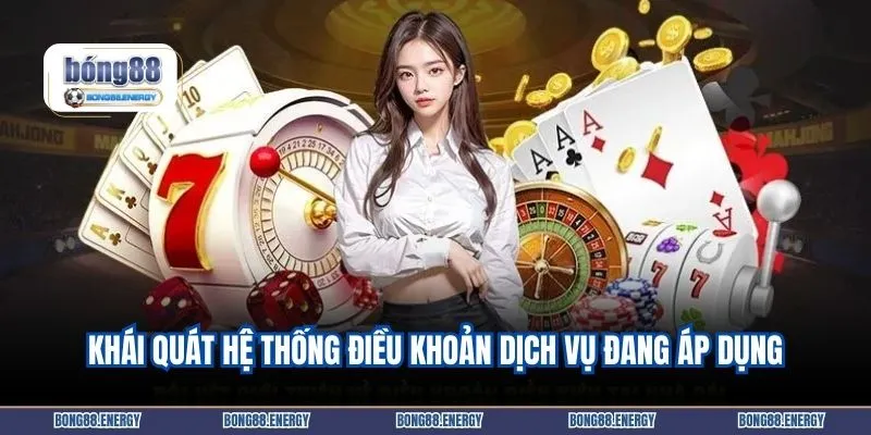 Khái quát hệ thống điều khoản dịch vụ đang áp dụng