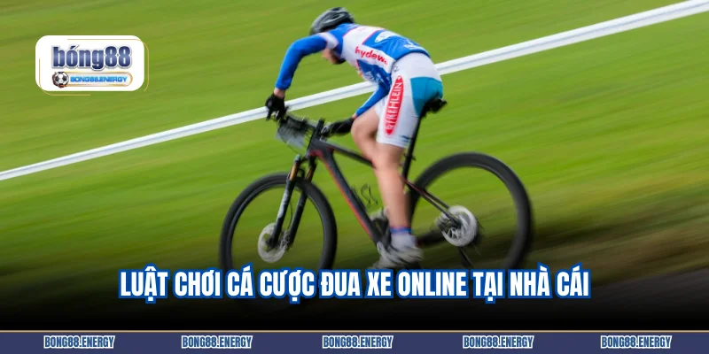 Luật chơi cá cược đua xe online tại nhà cái