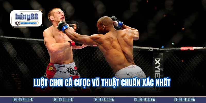 Luật chơi cá cược võ thuật chuẩn xác nhất 