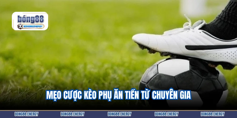 Mẹo cược kèo phụ ăn tiền từ chuyên gia