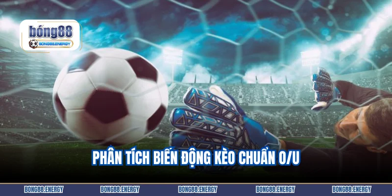 Phân tích biến động kèo chuẩn O/U