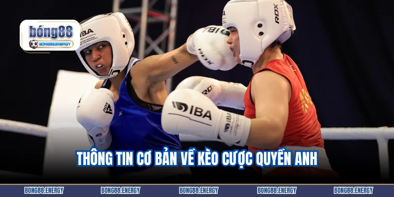 Thông tin cơ bản về kèo cược quyền anh