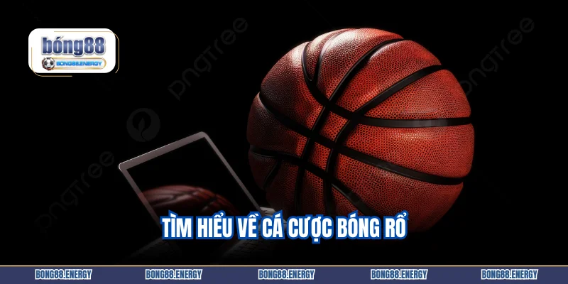 Tìm hiểu về cá cược bóng rổ